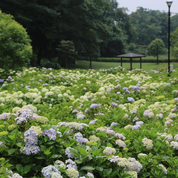 環境システム荻窪公園3