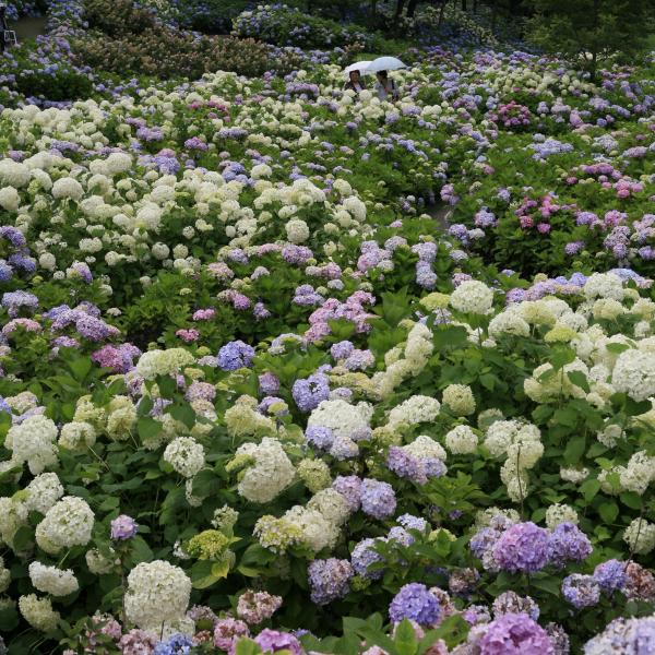 環境システム荻窪公園5