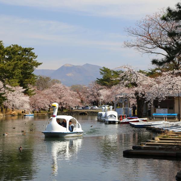敷島公園1