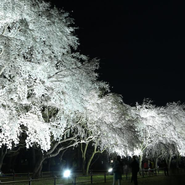 敷島公園5