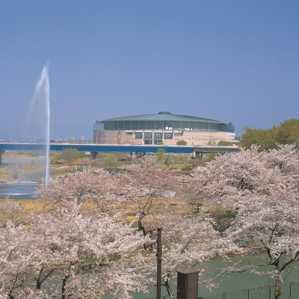 楽歩堂前橋公園1