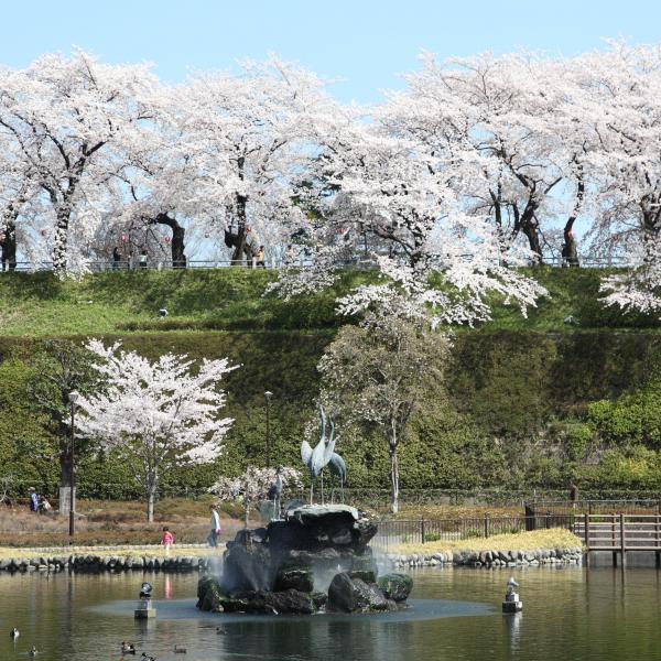 楽歩堂前橋公園3