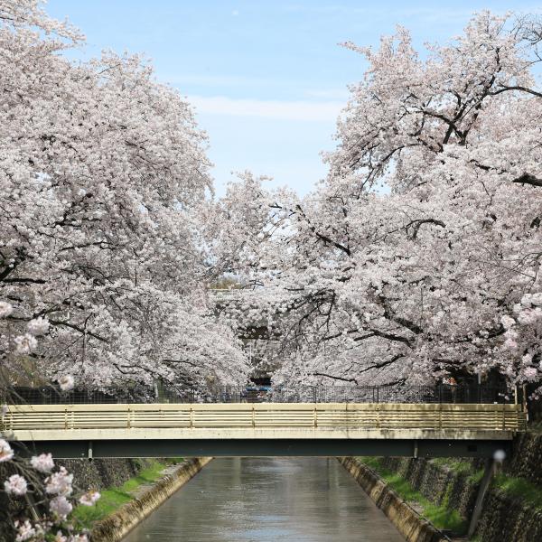 楽歩堂前橋公園4