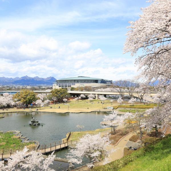 楽歩堂前橋公園5