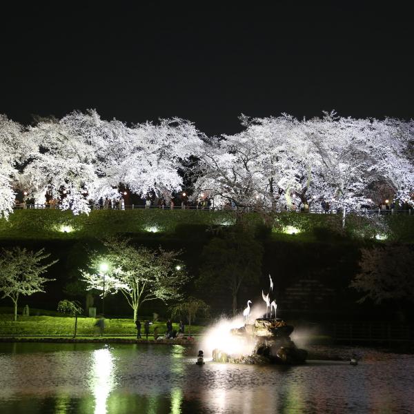 楽歩堂前橋公園6