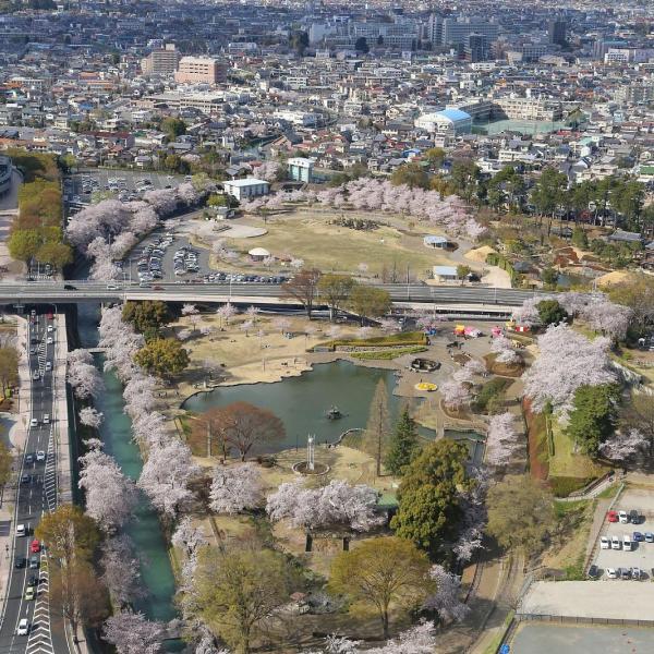 楽歩堂前橋公園7
