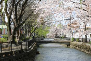 広瀬川1