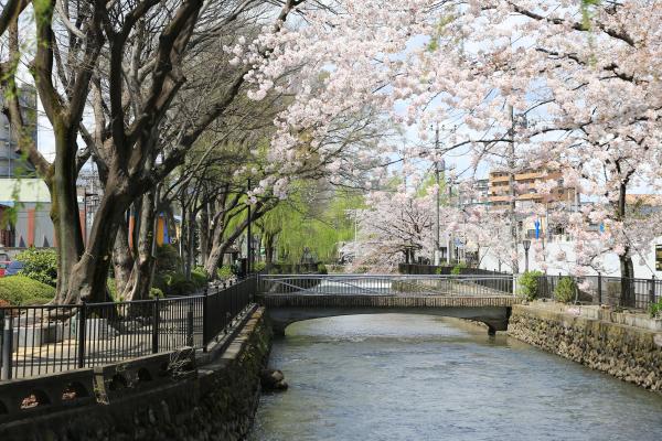 広瀬川1