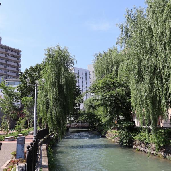 広瀬川3