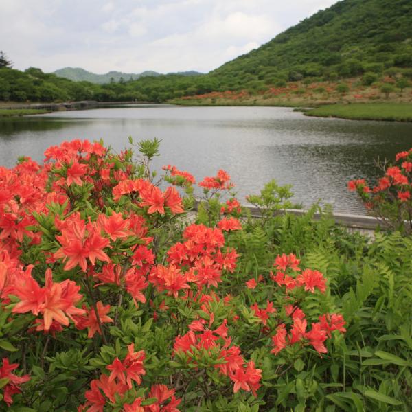赤城山・覚満淵・春2