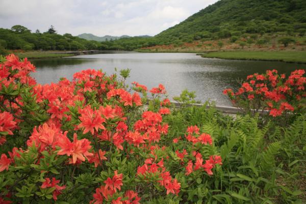 赤城山・覚満淵・春2