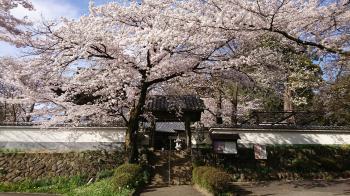 珊瑚寺
