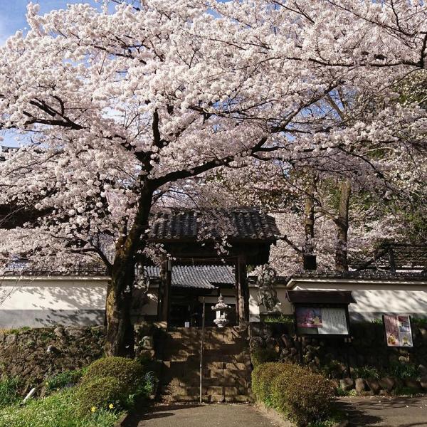 珊瑚寺