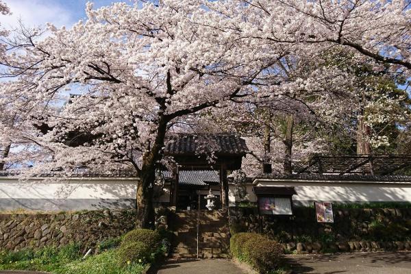 珊瑚寺