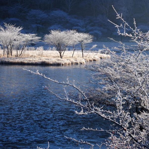 赤城山・覚満淵・冬3
