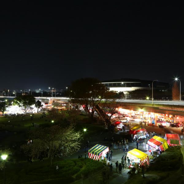 日本トーターグリーンドーム前橋6