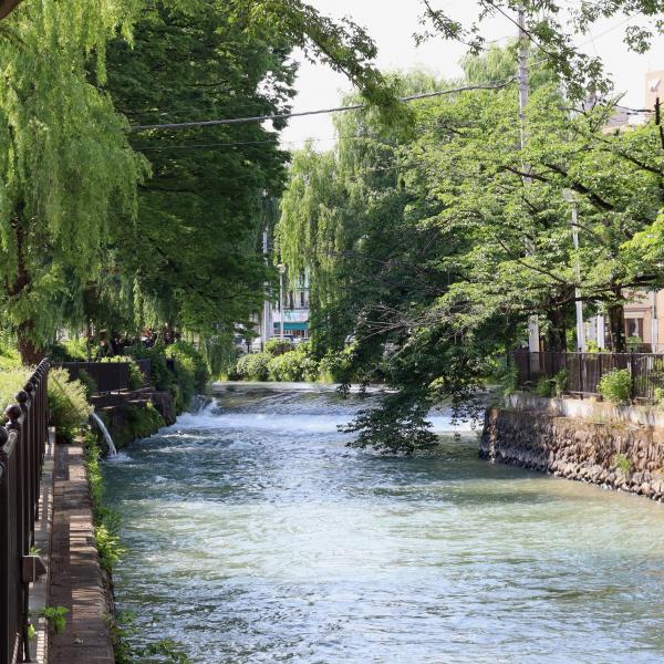 広瀬川４