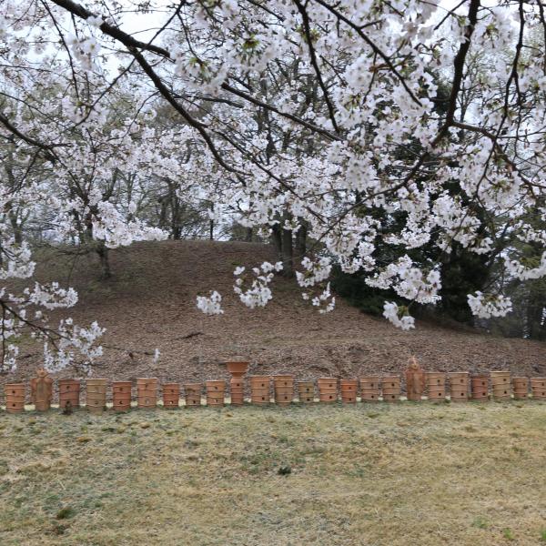大室公園・中二子古墳