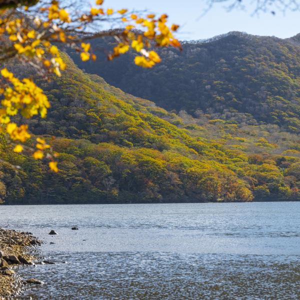 赤城山・秋12