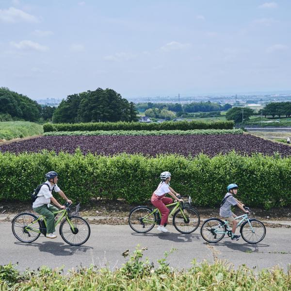 道の駅まえばし赤城観光案内所　レンタサイクル