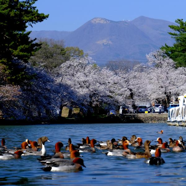 敷島公園