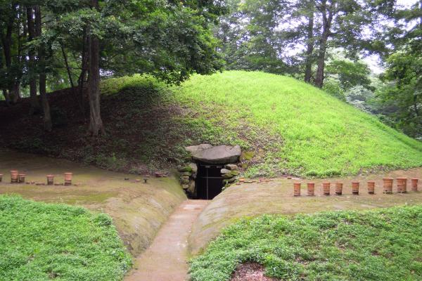 後二子古墳1（大室公園）