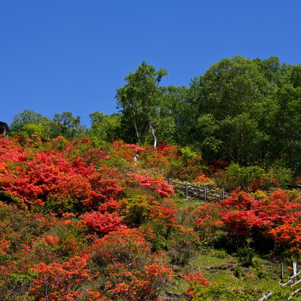 赤城山・春8